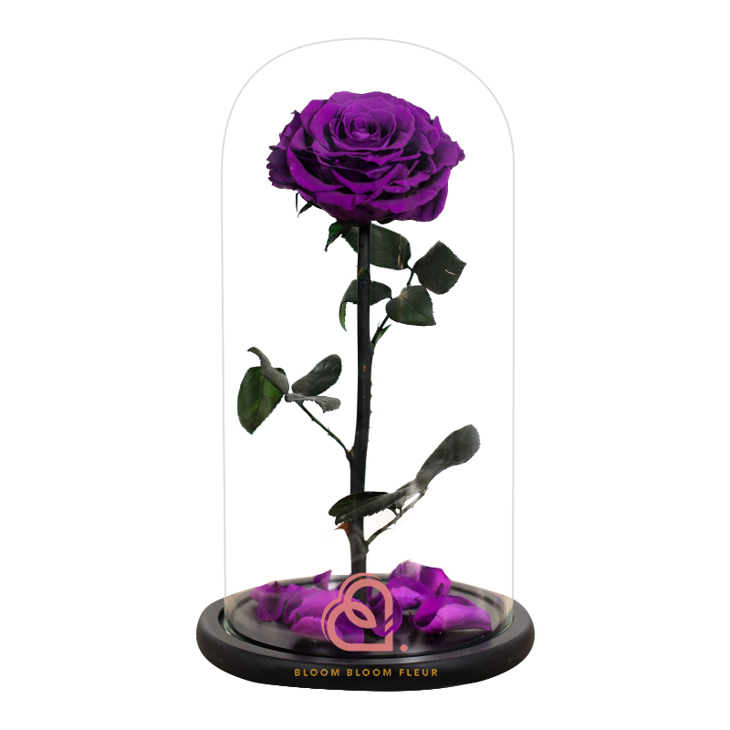 GIANT SINGLE PRESERVED ROSE IN GLASS DOME (PURPLE) – Bloom Bloom Fleur