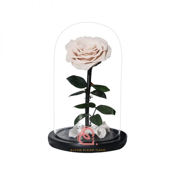 單支玫瑰保鮮花玻璃罩(奶茶色)