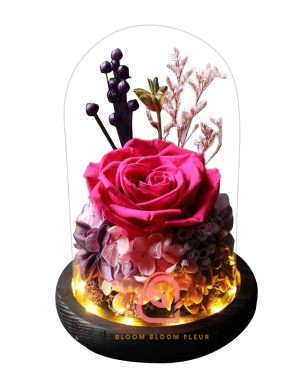 玫瑰綉球保鮮花玻璃罩(桃紅色)