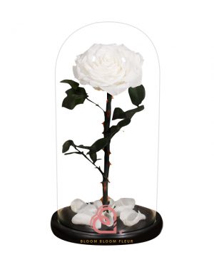 巨型單支玫瑰保鮮花玻璃罩(白色)