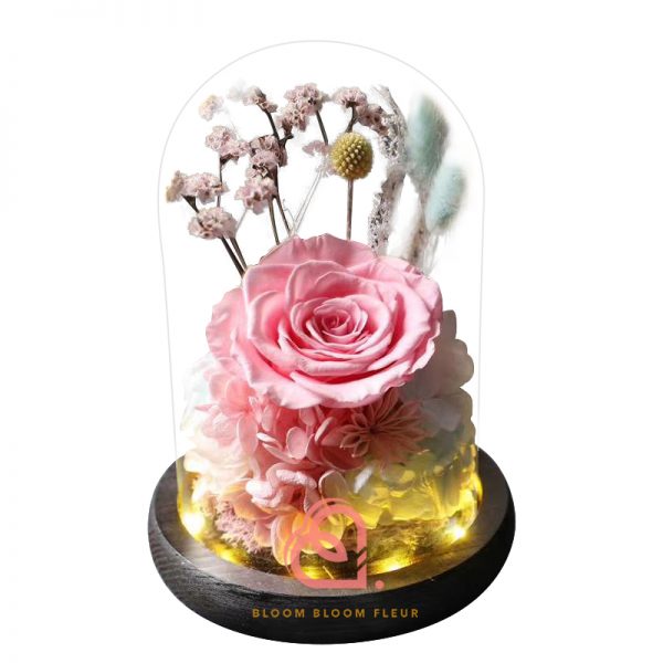 玫瑰綉球保鮮花玻璃罩(粉紅色)