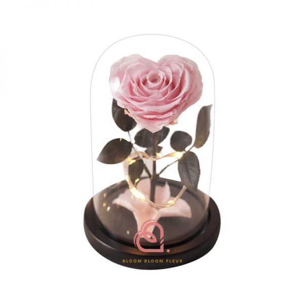 單支心形保鮮花玫瑰玻璃罩(粉紅色)