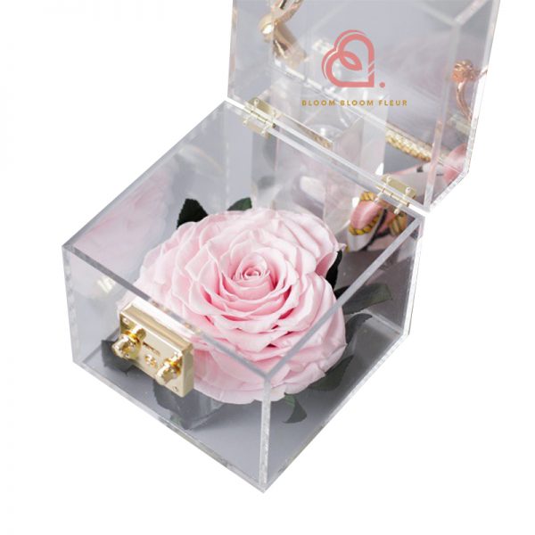 單支玫瑰保鮮花透明禮盒(粉紅色)