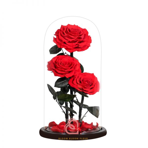 巨型三支玫瑰保鮮花玻璃罩(紅色)