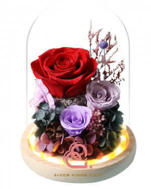 糖果系列保鮮花玻璃罩(紅色)