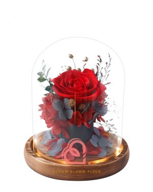 簡樸保鮮花玻璃罩(紅色)