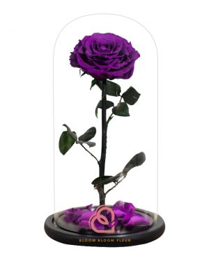 巨型單支玫瑰保鮮花玻璃罩(紫色)