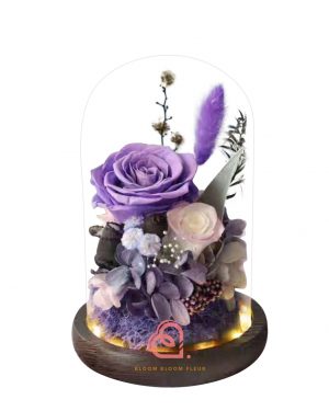 雙玫瑰玻璃罩(紫色)