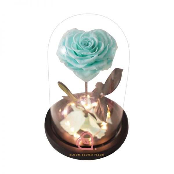單支心形保鮮花玫瑰玻璃罩(藍綠色)