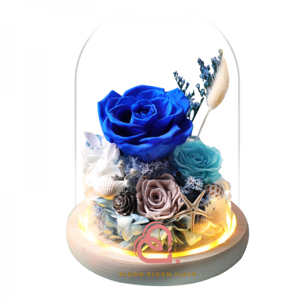 糖果系列保鮮花玻璃罩(藍色)