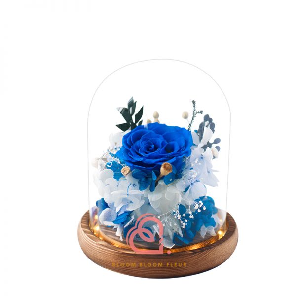 簡樸保鮮花玻璃罩(藍色)
