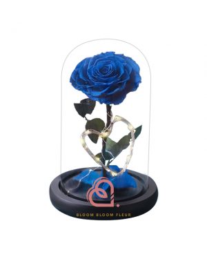 心型燈單支玫瑰保鮮花玻璃罩(藍色)
