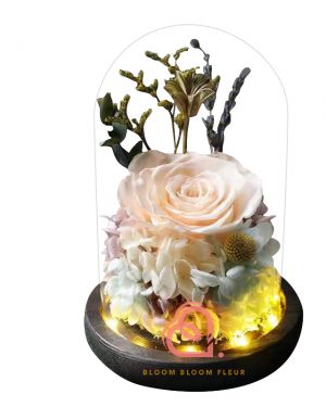 玫瑰綉球保鮮花玻璃罩(香檳色)
